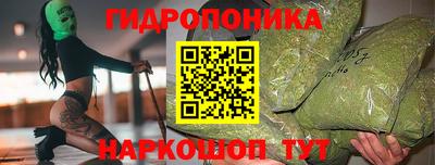 spice Славгород
