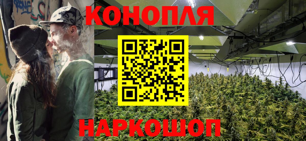 Конопля Bruce Banner Новодвинск